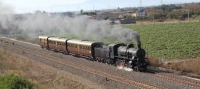 Domenica 1° Marzo un antico treno a vapore con a bordo 150 turisti arriverà a Carbonia