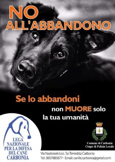 Campagna contro l’abbandono dei cani
