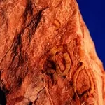 Geologia 1