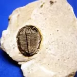 Geologia 2