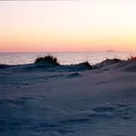Mare 6