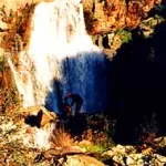 Natura 7